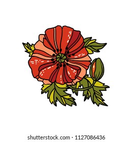 Linear poppy flowers. Vector illustration