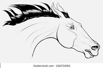 Linear portrait of horse craned its neck forward, laid his ears back. Head of a running steed with fluttering mane. Vector clip art, design element for equestrian goods and show jumping clubs.