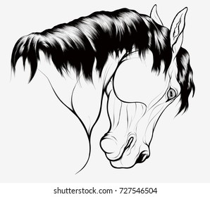 Linear portrait of horse with a curved neck. Watchful stallion laid his ears back. Three quarter view from behind. Vector clip art and design element for equestrian goods.