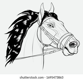 Linear portrait of a horse dressed in English bridle with a snaffle bit. Stallion pricked up its ears and stared ahead warily with flared nostrils. Vector emblem for equestrian goods, coloring books.