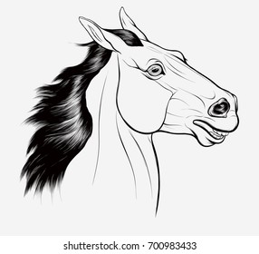 linear portrait of horse. Head of a running stallion with fluttering mane. Vector clip art and design element for equestrian goods.