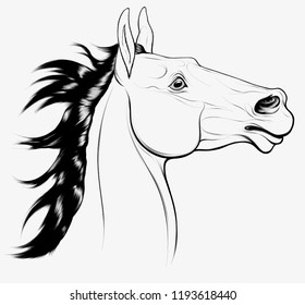 linear portrait of horse with a hight raised head and fluttering long mane. Watchful and excited stallion flared his nostrils. Vector clip art, design element for equestrian goods, show jumping clubs.