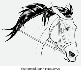 Linear portrait of a wary long maned stallion, laid its ears back. Head of a running steed in English bridle with a snaffle bit. Vector clip art for cross-country equestrianism and show jumping clubs.