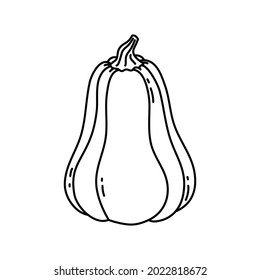 Linear Pumpkin illustration. Outline Doodle style. Pumpkin - a symbol of Halloween, Fall, and Thanksgiving. Squash silhouette isolated on white background. Vector. For menu, farmers markets, print