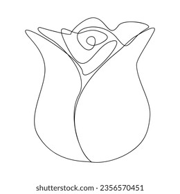 Linear rose drawn. Continuous line drawing flower. Vector illustration isolated on white.