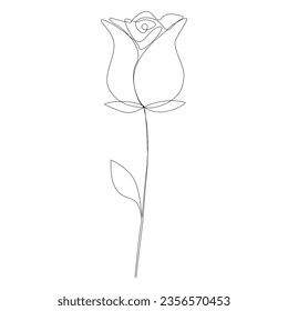 Linear rose drawn. Continuous line drawing flower. Vector illustration isolated on white.