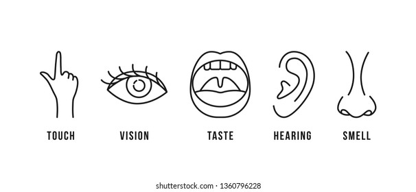 linear scheme of five human senses. flat stroke style trend modern lineart logotype graphic art design isolated on white background. concept of 5 perception organ in neuroscience or psychology