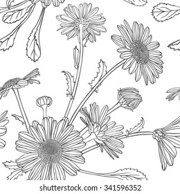 Linear seamless pattern - chamomile flowers