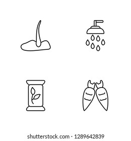 Linear Seeds, Seeds, Sprinkler, Carrots Vector Illustration Of 4 outline Icons. Editable Pack Of Seeds, Seeds, Sprinkler, Carrots