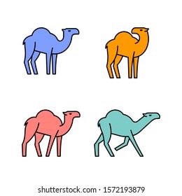 Linear Set of colored Camels icons. Icon design. Template elements
