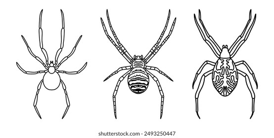 Linear set of different black spiders.