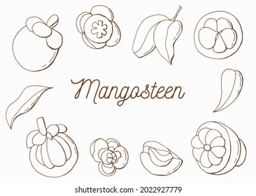 Linear Set of mangosteen. Fruit, flower, leaf. Line art. White background, isolate. Vector illustration.	
