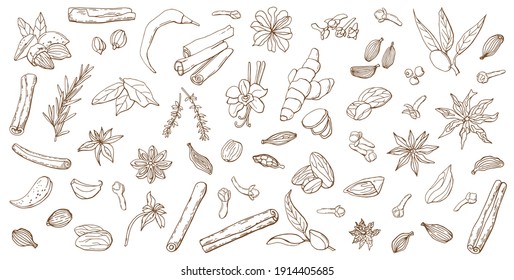 Linear set of various spices. Line art. White background, isolate. Vector illustration.