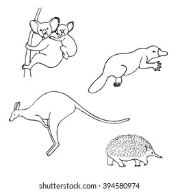 Linear set of vector animals isolated on white background. Vector illustration of cute animal set including kangaroo, koala, platypus and echidna.