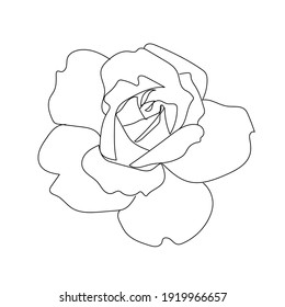 linear silhouette flower. Botanic decoration vector element. Graphic sketch. One line. 