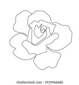 linear silhouette flower. Botanic decoration vector element. Graphic sketch. One line. 