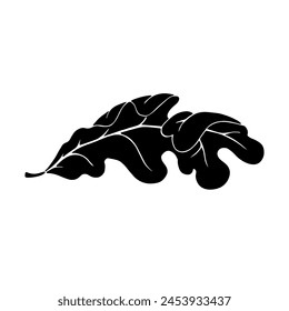 Silueta lineal de una hoja de roble.Elemento botánico decorativo.Gráficos de Vector.