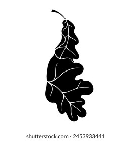 Linear silhouette of an oak leaf.Decorative botanical element.Vector graphics.