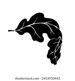 Linear silhouette of an oak leaf.Decorative botanical element.Vector graphics.