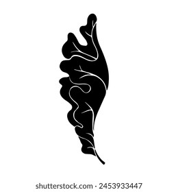 Linear silhouette of an oak leaf.Decorative botanical element.Vector graphics.