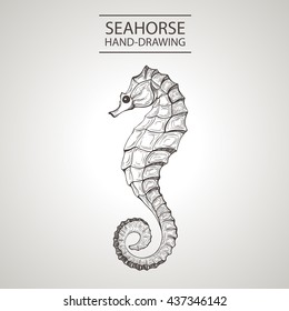 linear silhouette stylized sea horse isolated on light background. Sketch handmade -  Stock Vector