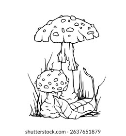 Linear sketch of autumn compositions of fly agaric mushrooms and forest plants. Vector graphics.