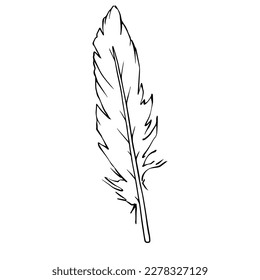 Linear sketch, bird feather coloring. Vector graphics.