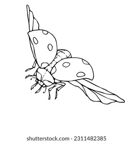 Linear sketch, coloring book of ladybug insect.Vector graphics.