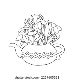 Linear sketch, coloring of a bouquet of spring snowdrop flowers.Vector graphics.