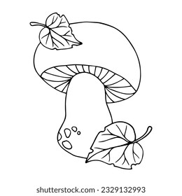 Linear sketch, coloring forest mushrooms. Vector graphics.