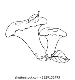 Linear sketch, coloring forest mushrooms. Vector graphics.