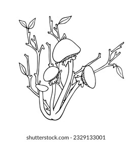 Linear sketch, coloring forest mushrooms. Vector graphics.