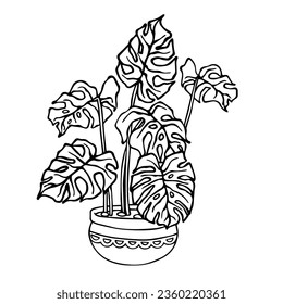 Linear sketch, coloring of a monstera in a flowerpot. Vector graphics.
