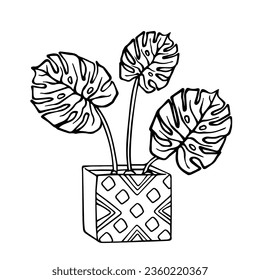 Linear sketch, coloring of a monstera in a flowerpot. Vector graphics.