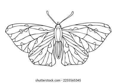 Linear sketch, coloring of night moths, butterflies.Vector graphics.