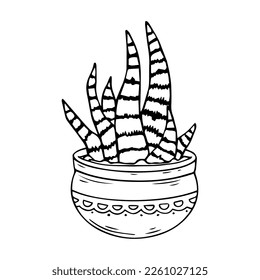 Esbozo lineal de plantas de coloración de la suculenta familia de cactus en macetas de flores. Gráficos vectoriales.