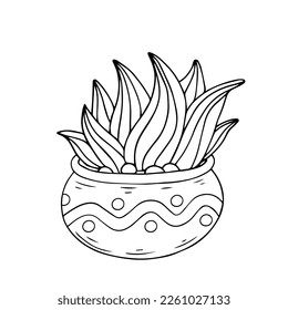 Esbozo lineal de plantas de coloración de la suculenta familia de cactus en macetas de flores. Gráficos vectoriales.