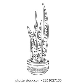 Linear sketch coloring plants of the succulent, cactus family in flower pots. Vector graphics.