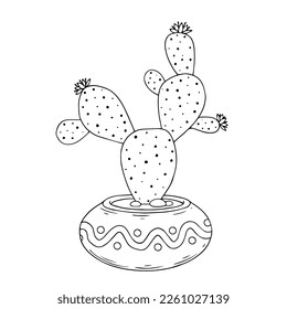 Esbozo lineal de plantas de coloración de la suculenta familia de cactus en macetas de flores. Gráficos vectoriales.