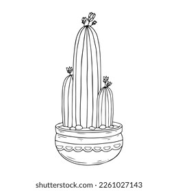 Linear sketch coloring plants of the succulent, cactus family in flower pots. Vector graphics.