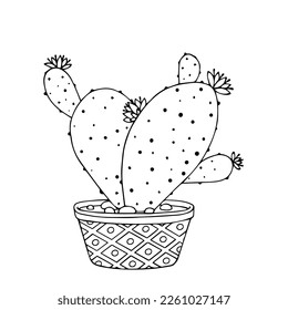 Esbozo lineal de plantas de coloración de la suculenta familia de cactus en macetas de flores. Gráficos vectoriales.