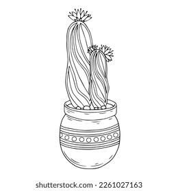 Linear sketch coloring plants of the succulent, cactus family in flower pots. Vector graphics.