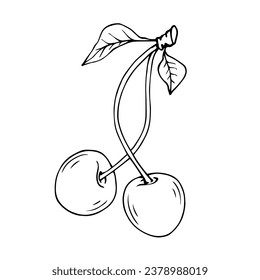 Linear sketch, coloring of summer cherries. Vector graphics.