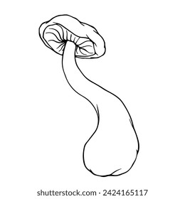 Linear sketch, coloring of toadstool mushrooms. Vector graphics.