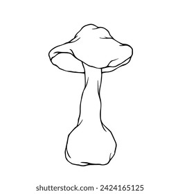 Linear sketch, coloring of toadstool mushrooms. Vector graphics.