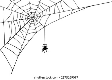 Linear sketch of a corner web with a spider.Vector graphics.