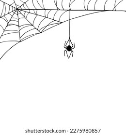 Linear sketch of a corner web with a spider.Vector graphics.	