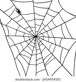Linear sketch of a corner web with a spider.Vector graphics.	