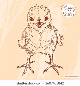 Linear sketch of the cute easter baby chick with green text Happy Easter. Hand drawn vintage vector illustration with lettering happy easter on the textured beige paper background.