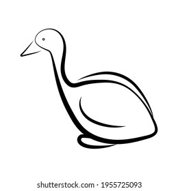 Esbozo lineal garrapata de aves de corral animal aislado ícono huella plana mano dibujada forma de cisne de pato de oca